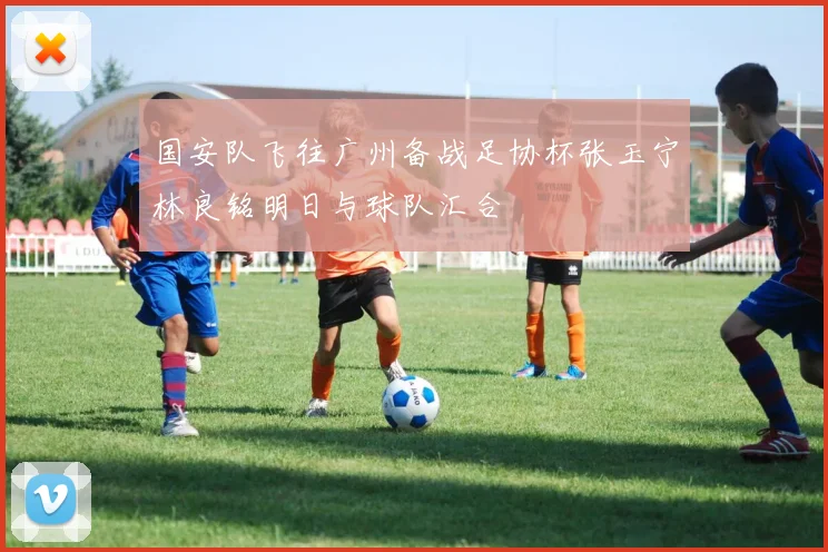 国安队飞往广州备战足协杯张玉宁林良铭明日与球队汇合