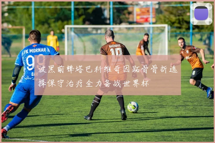 波黑前锋塔巴科维奇因跖骨骨折选择保守治疗全力备战世界杯